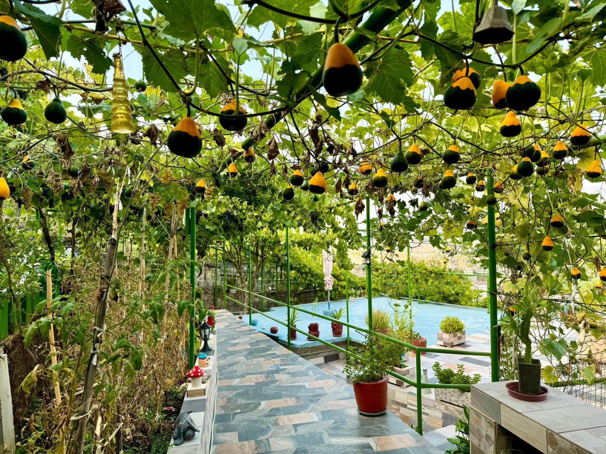 Panoramic View Guest House Gjirokaster Luaran gambar